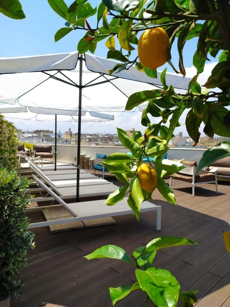 Dogana Resort 莫尔费塔 外观 照片